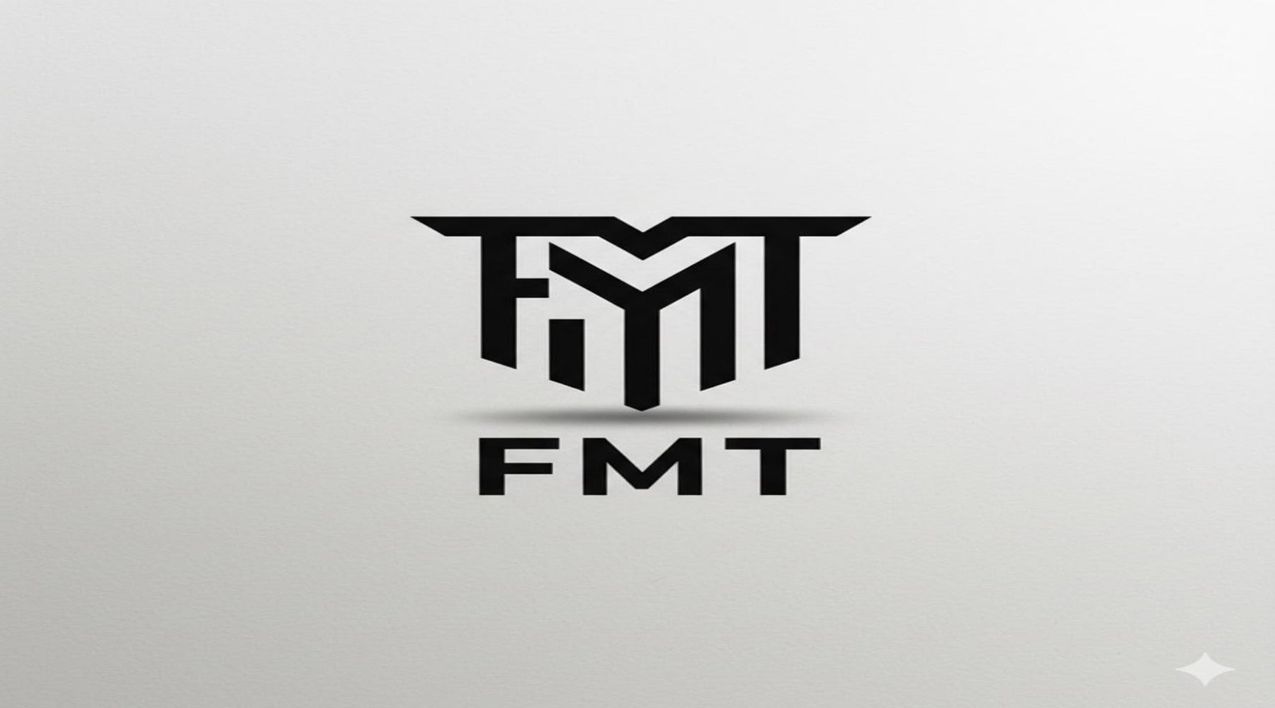 FMT APPAREL ENTERPRISE 